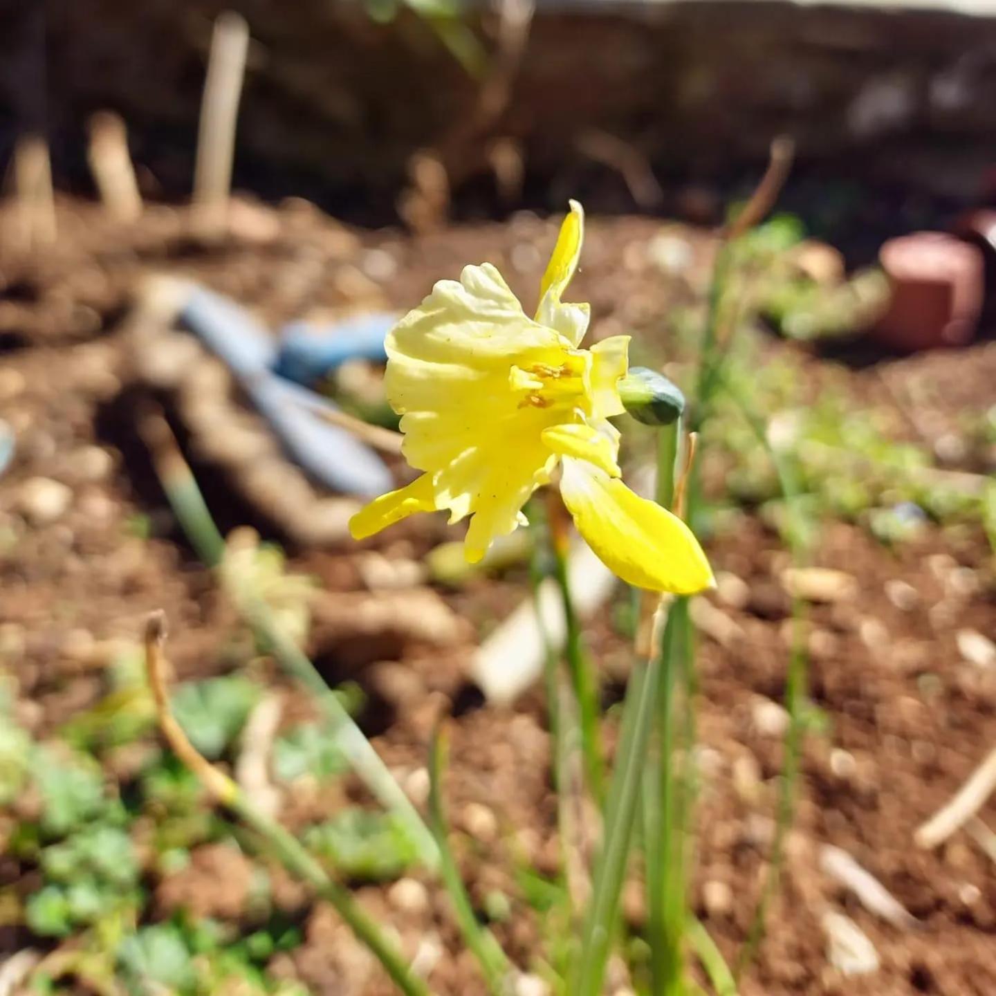 Villa Shuaipaj Gjirokastër Dış mekan fotoğraf
