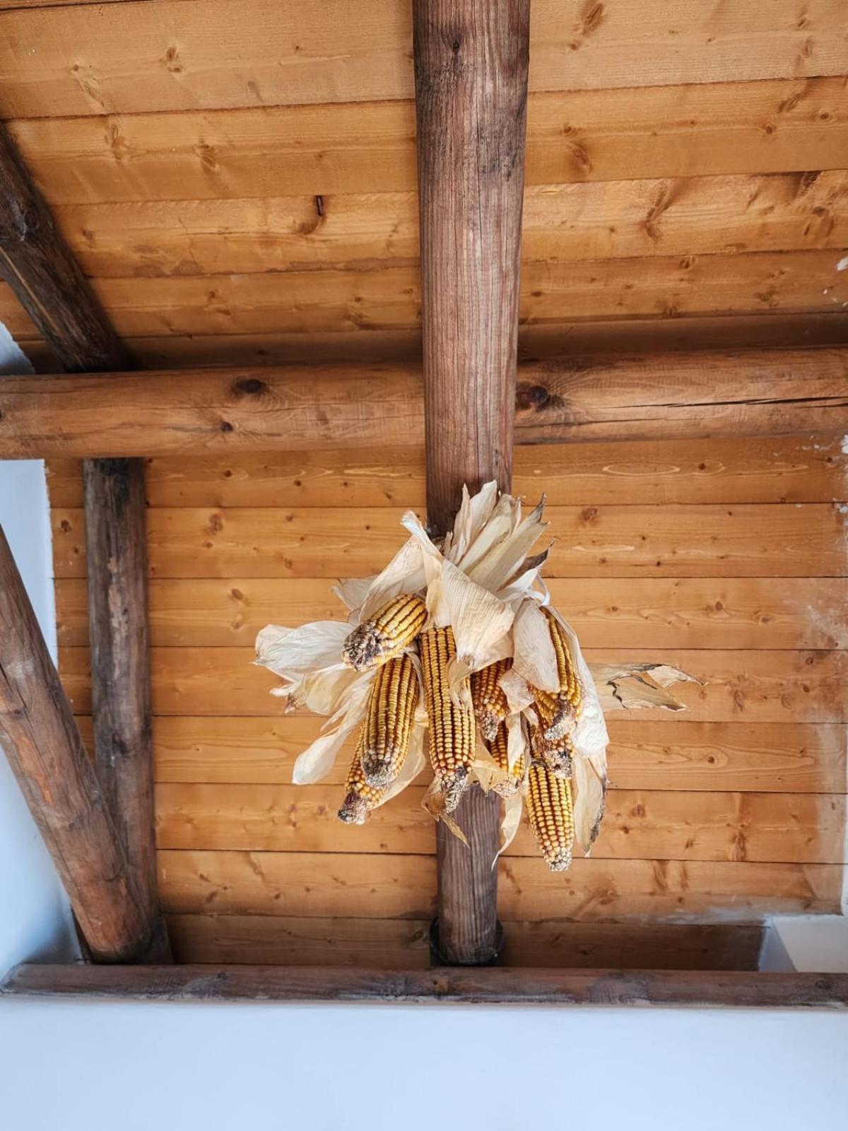 Villa Shuaipaj Gjirokastër Dış mekan fotoğraf